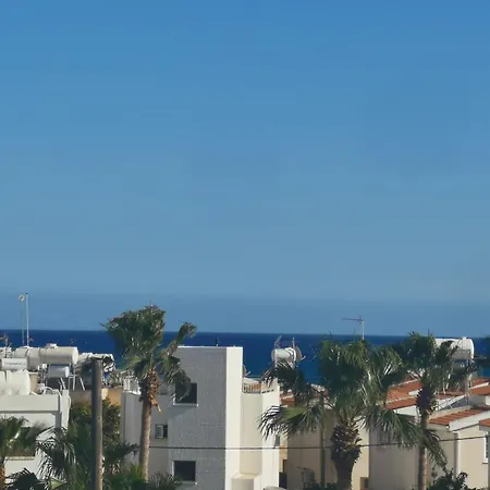 Boronia * Larnaca